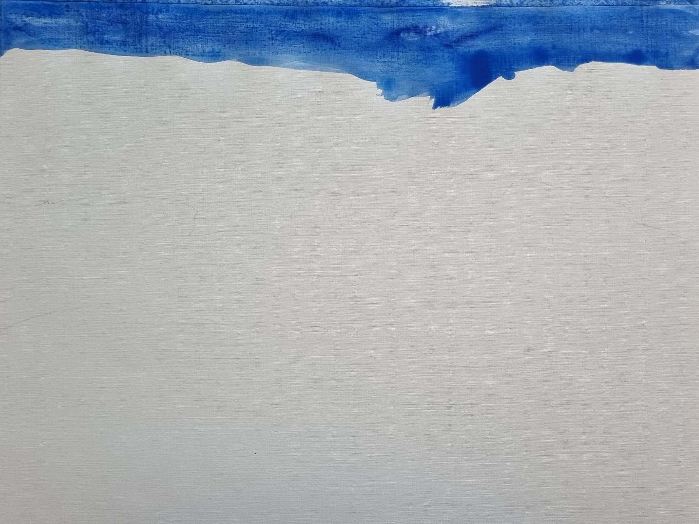 mer1